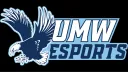 University of Mary Washington Esports banner