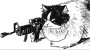 °・☆My dumb cattos☆・° Discord server banner