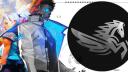 Pegasus Valorant #427 Banner