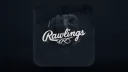 Rawlings banner