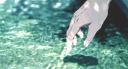 ღ 𝑮𝑼𝑰𝑳𝑫 • 𝑻𝑨𝑮 𝑺𝑬𝑵𝑺 ღ banner