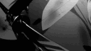 💜OMNIX & FAMILY💜 banner