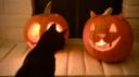 rose o ween    giveaways & social Banner