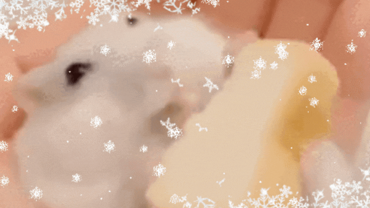 *:・゚✧*:・゚𝒽𝒶𝓂𝓅𝓉𝑒𝓇 𝒸𝒶𝒻𝑒 *ೃ༄ Discord server banner