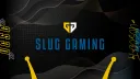 Slug Gaming Banner