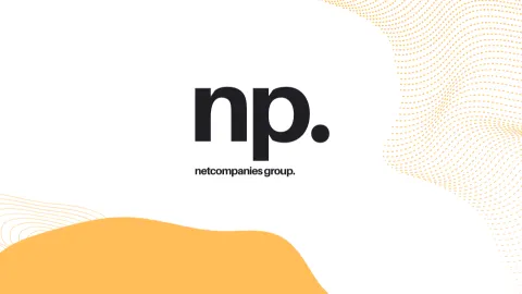 NetPox PLC┃NetCompanies banner