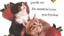 El de los tamales banner