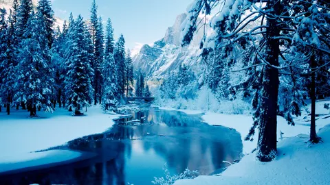 ❄Snowgates❄ banner