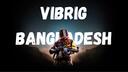 VIB RIG Banner