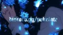 Poké-Faté banner