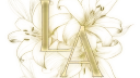 Lilium Aurum banner