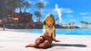 The Linkle Project Banner