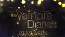 The Vampire Diaries: ๐
๐๐ถ๐๐ถ๐๐๐ ใ18+ใ Discord server banner