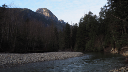 Innisfree Discord server banner