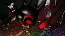 Renegades 18+ banner
