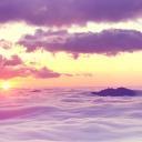 The World of Remnant Banner