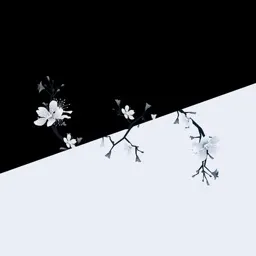 ๐๐๐ ๐๐๐๐๐๐๐ banner