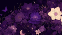 Moonlight's haven ✨ Discord server banner