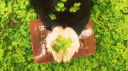 ‧⋆˚࿔ ichiko ⋆˚࿔ social ⸝⸝ ʚଓ tag .ᐟ.ᐟ server banner