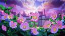 Star Guardians 𓆩𓆪 Banner