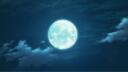 Beastars: Primal Instincts Banner