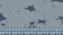 PT Scoutdigo Discord banner