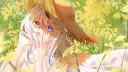 🌾𝑳𝒂̀𝒏𝒈 𝑪𝒂́ 𝑪𝒉𝒆́𝒑 🌾 banner