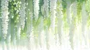 sleepy kittens banner