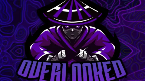 The Overlooked banner
