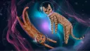 spacecats banner