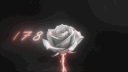 ZXC Discord server banner