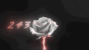 ZXC banner