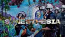 Synesthesia 🍄 gg/Mantar banner