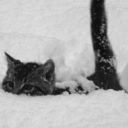 ❥𝕆𝕟𝕝𝕪 𝔽𝕣𝕚𝕖𝕟𝕕𝕤 server banner