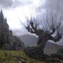 Harry Potter RP - Welcome Server Banner