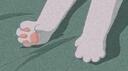 Catnova Banner