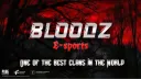 bloodz E-sports 🩸 banner