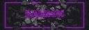 banner
