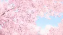 ~ Suteki Blossom 18+🐾🌸 banner