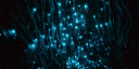 ♡Glowworms AroAce Cave♡ server banner