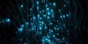 Glowworms AroAce Cave Banner