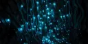 Glowworms AroAce Cave Banner
