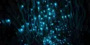 ♡Glowworms AroAce Cave♡ Discord server banner
