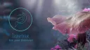 Dice & Divergence banner