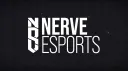 Nerve Esports banner