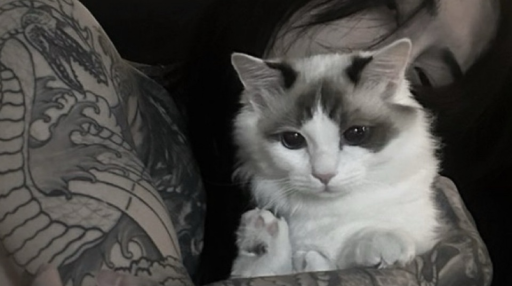 apathy Discord server banner