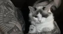 apathy Discord server banner