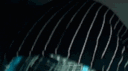Совет Князей banner
