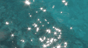 𝘊𝘢𝘳𝘢𝘵 𝘓𝘢𝘯𝘥 ⋆ ᖭི༏ᖫྀ   ．關閉 banner