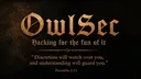 OwlSec server banner